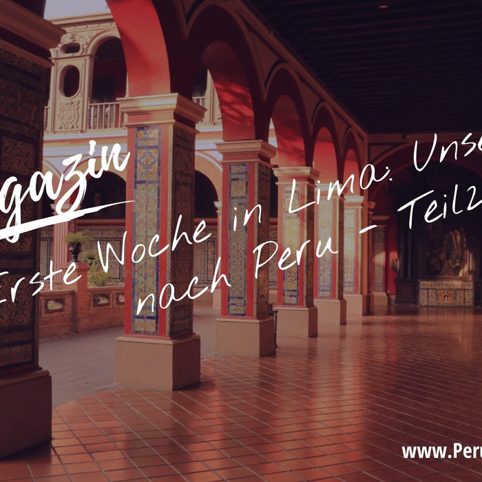 Erste Woche in Lima Ankommen zwischen Familie, Essen und Shopping