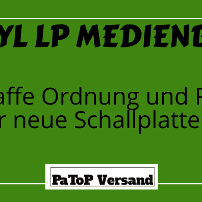 Ordnung mit Stil: Die Werkhaus Vinyl LP Schallplatten Medienbox