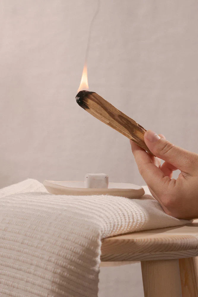 Palo Santo - Natural Wood Incense