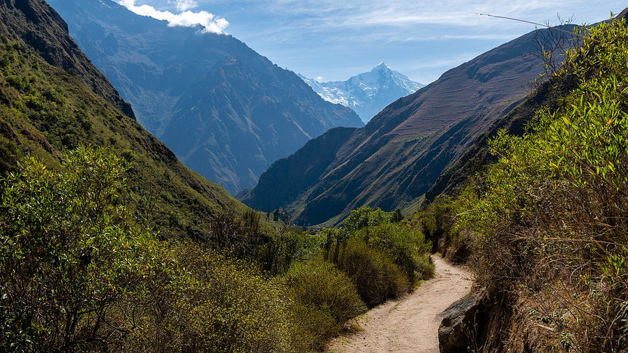 Camino Inca