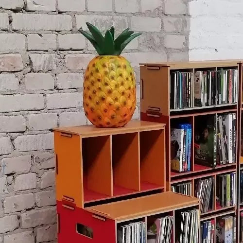 Abdeckplatte für Medienbox CD und DVD Regale
