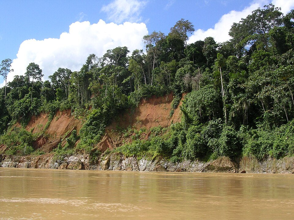 Regenwald am Río Madre de Dios in Peru, Foto Roosevelt Garcia, 2004