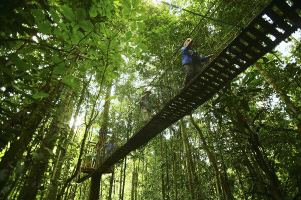 Perus Amazonasregion: Millionen für nachhaltigen Tourismus und Regenwaldschutz
