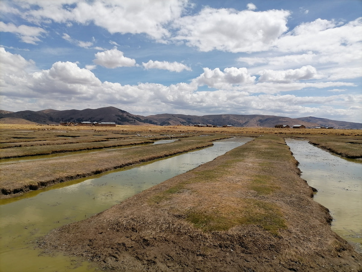 Waru-Waru de Caritamaya bei Acora in Puno