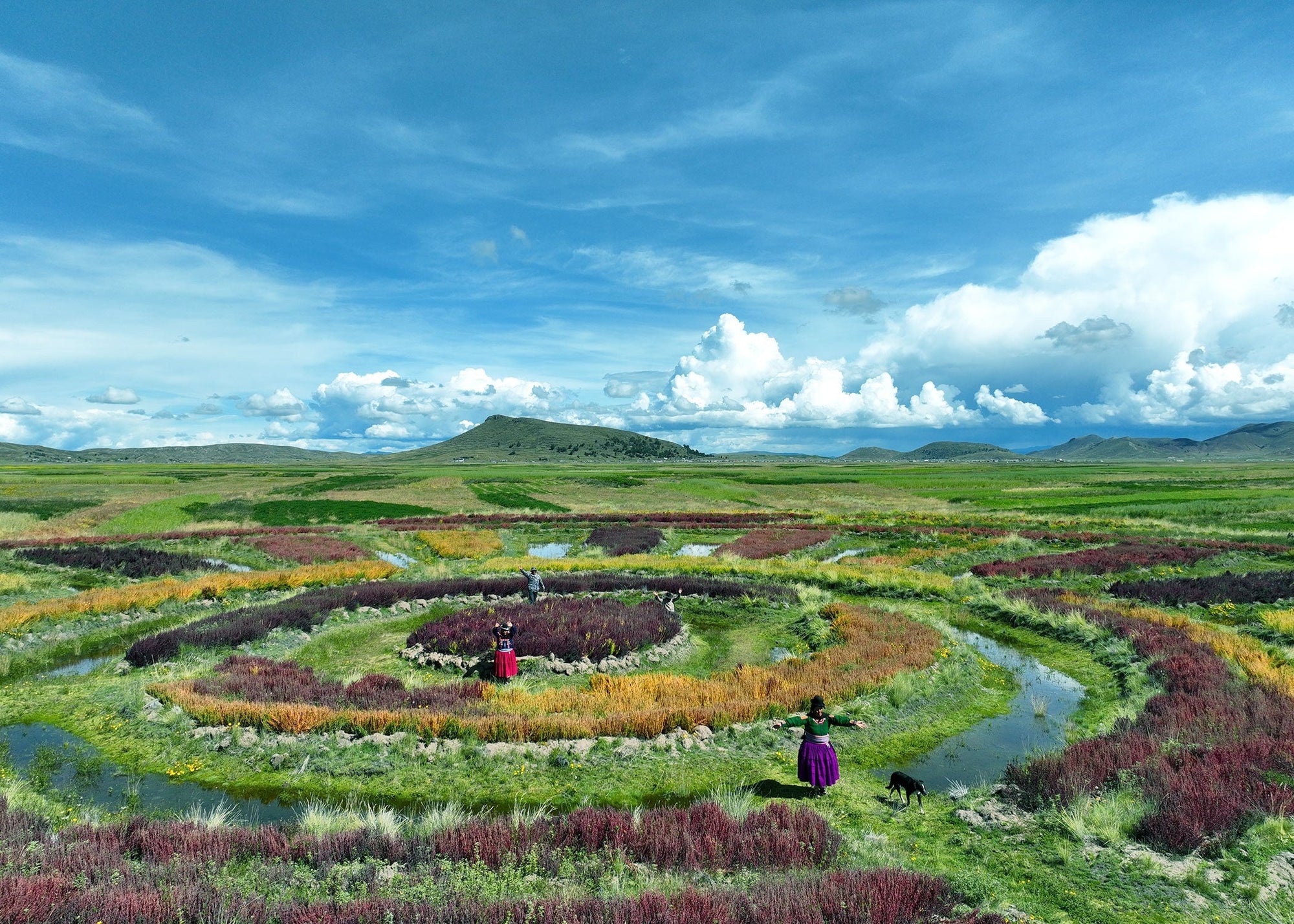 Waru Waru Felder in Acora, Puno, Peru