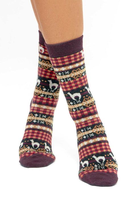 Apu Kuntur - Alpaka Premium Socken Candela – Wärme & Stil im Anden-Look - PeruMagazin