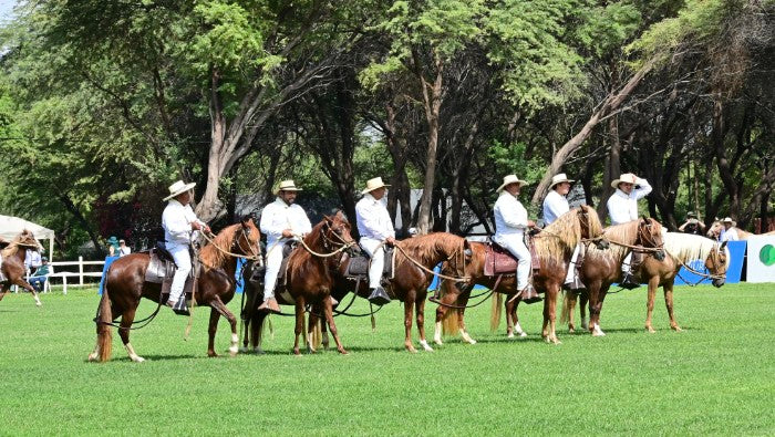 34. Concurso Regional del Caballo Peruano de Paso