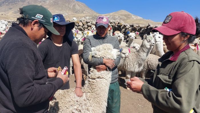 II Congreso Peruano de Extensión Agropecuaria
