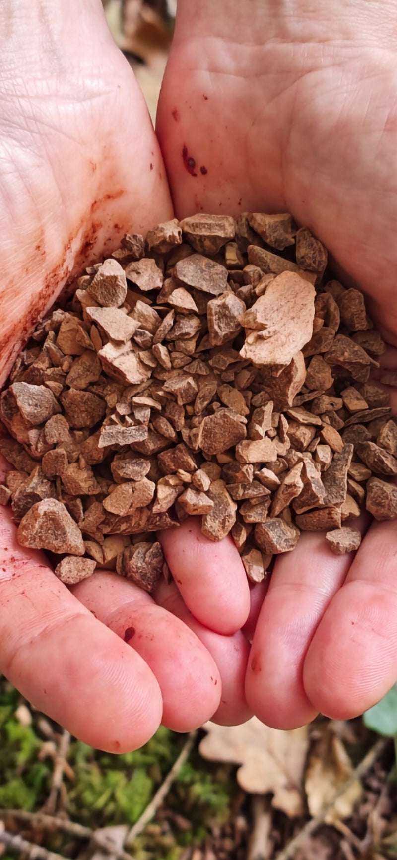 Kaburoh Kit cacao bio du Pérou – Piura Blanco & Amazonia | 2 × 250 g
