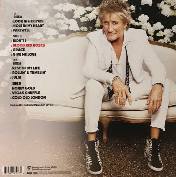 Rod Stewart – Blood Red Roses - 2 x Vinyl, LP, Album