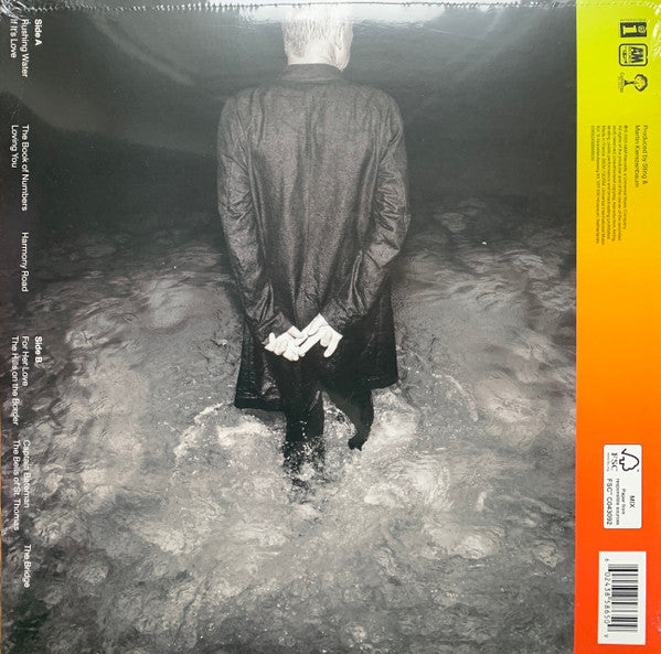 Sting – The Bridge - Vinyl, LP, Album, Stereo, 180 Gram Vinyl